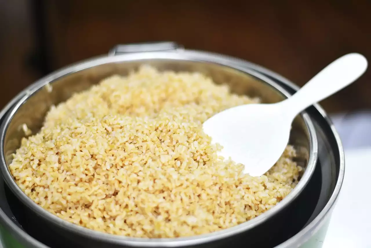 إتقان الأرز المطهو على البخار: نصائح وحيل لأرز رقيق مثالي في كل مرة